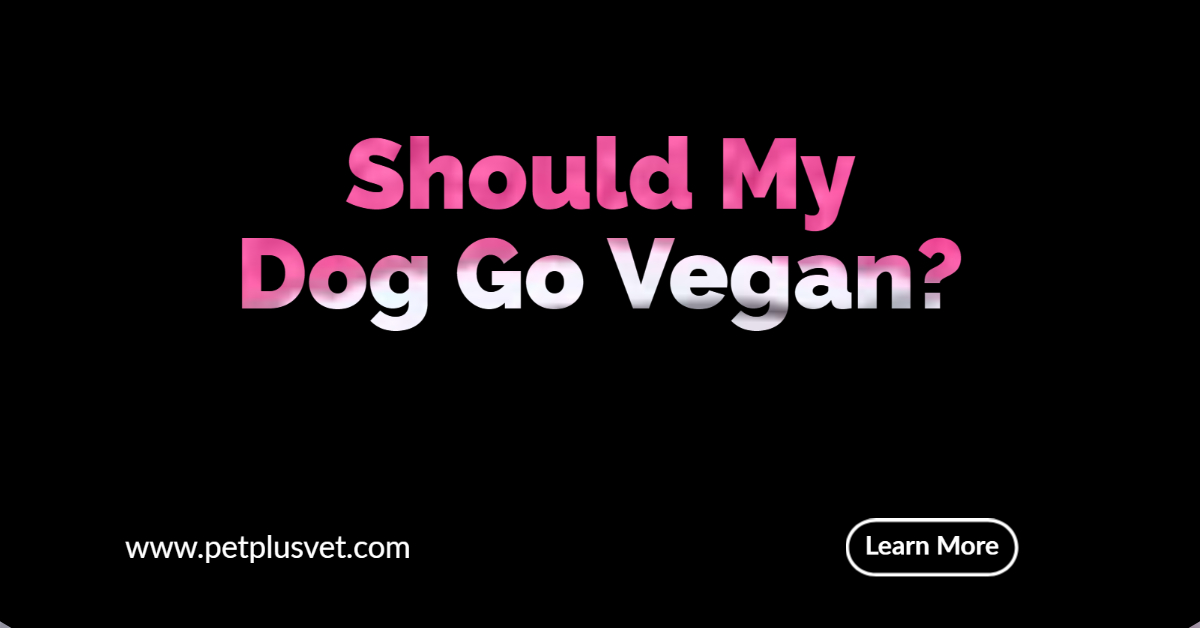 Should My Dog Go Vegan? • PETPlus Nutrition