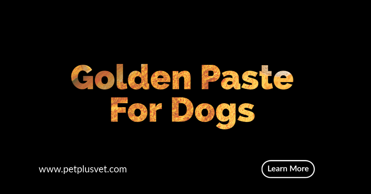 Golden Paste For Dogs • PET Plus